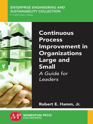 cover image of Continuous Process Improvement in Organizations Large and Small